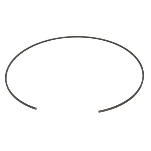Sicherheitsring EURORICAMBI 95534770