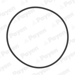 Kit de juntas, camisa de cilindro PAYEN HL5383