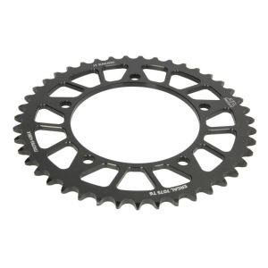 Roda dentada, corrente JT A1793,43BLK