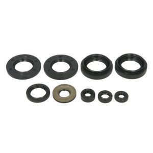 Kit de juntas do motor WINDEROSA W822258