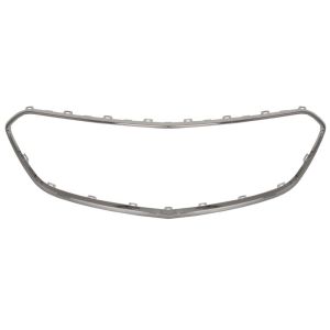 Baguette et bande protectrice, grille de radiateur BLIC 6502-07-5029912P