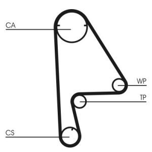 Kit distribution avec pompe à eau CONTINENTAL CT862WP1