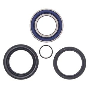 Jeu de roulements de roue ALL BALLS AB25-1004