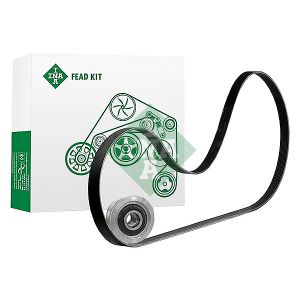 Cinto com várias nervuras (6PK1019)  INA 529 4174 10
