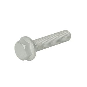 Parafuso AUGER 59251