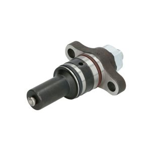 Element, Common-Rail Pumpe BOSCH 2 469 403 181