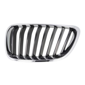 Grille de radiateur BLIC 6502-07-0069991P Gauche