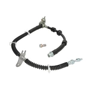 Bromsslang DELPHI LH7980