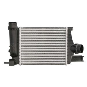 Intercooler MAGNETI MARELLI 351319205160