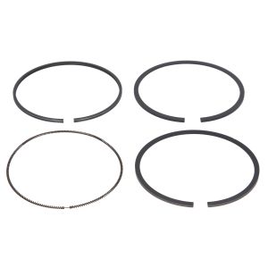 Jeu de pièces de segment de piston FP DIESEL RE530613-FP