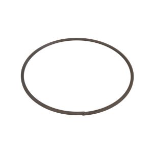 Circlip ZF 0730513904ZF