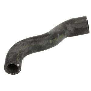 Mangueira do aquecedor THERMOTEC DWM147TT