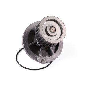Pompe à eau HEPU P328