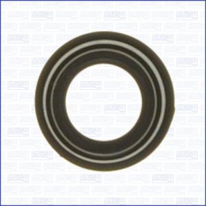 Elemento, carril comum AJUSA 00813400