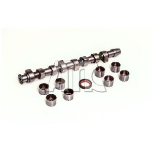 Conjunto da árvore de cames AMC 613203K