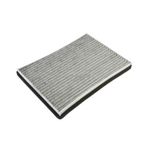 Cabinefilter JC PREMIUM B48006CPR