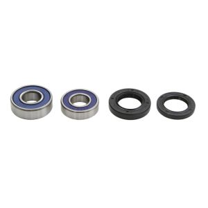 Kit de roulements de roue ALL BALLS AB25-1160