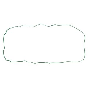 Ventildeckeldichtung FP DIESEL R524469-FP