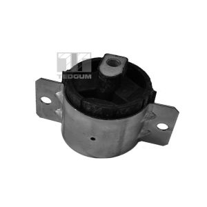 Suspension, support de boîte de vitesse manuelle TEDGUM 00726345