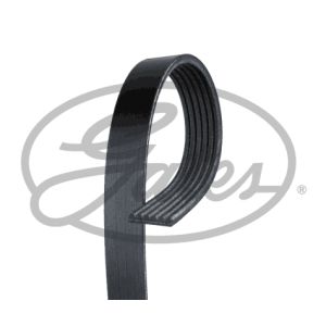 Blue Print Cinghia Poly-V 6PK2060 Per Opel Antara, Kia Carnival E Altri