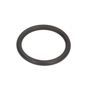Dichtring BOSCH F 00R J01 950