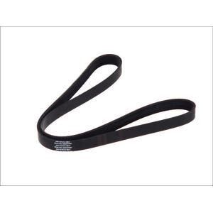 Poly V-riem DT 6.31514