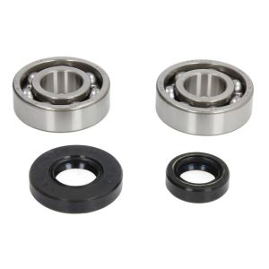 Kit de reparação, cambota HOT RODS K089 HR