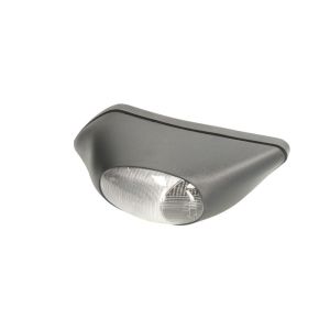 Luz intermitente DT Spare Parts 7.25149 esquerdo