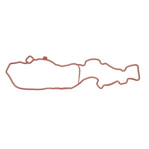 Junta da tampa da válvula REINZ 71-12157-00
