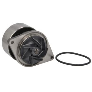 Kühlmittelpumpe OMP 201.530