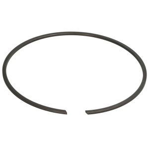 Element, Differential CARRARO 24981-CR