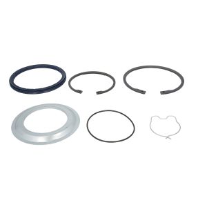 Conjunto de rolamentos de roda SKF VKBA 2451