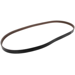 Cinghia Poly-V GATES 0224350-GAT