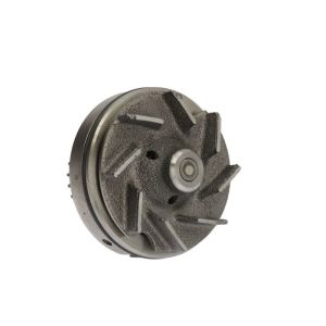 Wasserpumpe DOLZ B182