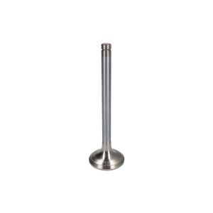 Válvula de escape FRECCIA R6257/BMCR