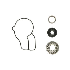 Kit de reparação, bomba de água HOT RODS WPK0050