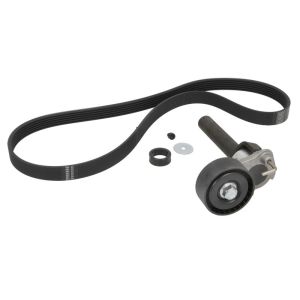 Cinto com várias nervuras (6PK1019)  SKF VKMA 31112