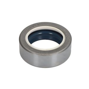 Wellendichtung CARRARO 139101-CR