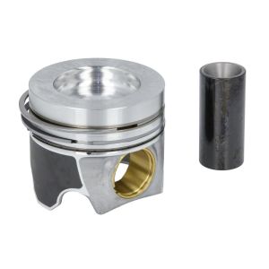 Piston NE 130050060021