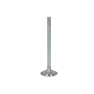 Auslassventil FP DIESEL R84619-FP