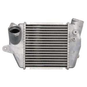 Intercooler THERMOTEC DA3005TT