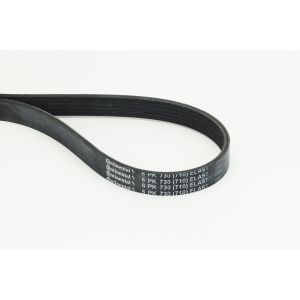 Moniurahihna CONTINENTAL 6 PK 730 ELAST