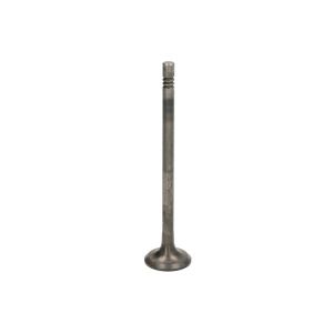 Auslassventil FRECCIA R6999/BMNT