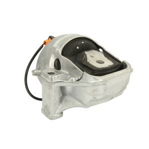 Soporte de motor REINHOCH RH11-0079 izquierda