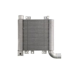 Intercooler THERMOTEC DA05003TT