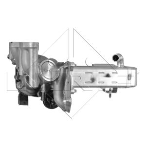 Válvula EGR NRF 48204