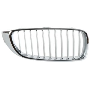 Grille de radiateur BLIC 6502-07-0070994P Droite