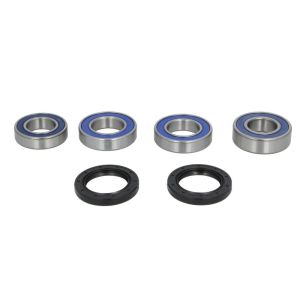 Jeu de roulements de roue ALL BALLS AB25-1563