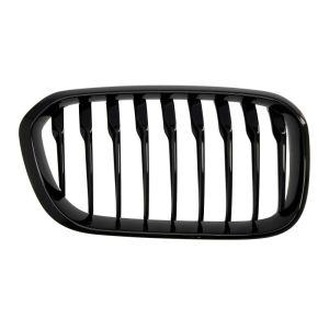 Grille de radiateur BLIC 6502-07-0086998P