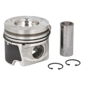 Piston NE 130089002421